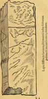 An illustration from Historia novi et admirabilis fontis balneique Bollensis in Ducatu Vvirtembergico ad acidulas Goepingenses ... (1598)