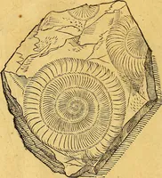 An illustration from Historia novi et admirabilis fontis balneique Bollensis in Ducatu Vvirtembergico ad acidulas Goepingenses ... (1598)