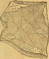 Picture 18 of 256 from Historia novi et admirabilis fontis balneique Bollensis in Ducatu Vvirtembergico ad acidulas Goepingenses ... (1598), leaf 334