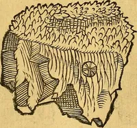 Picture 25 of 256 from Historia novi et admirabilis fontis balneique Bollensis in Ducatu Vvirtembergico ad acidulas Goepingenses ... (1598), leaf 338