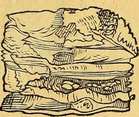Picture 28 of 256 from Historia novi et admirabilis fontis balneique Bollensis in Ducatu Vvirtembergico ad acidulas Goepingenses ... (1598), leaf 339