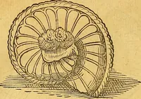 An illustration from Historia novi et admirabilis fontis balneique Bollensis in Ducatu Vvirtembergico ad acidulas Goepingenses ... (1598)