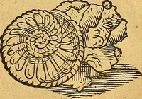 An illustration from Historia novi et admirabilis fontis balneique Bollensis in Ducatu Vvirtembergico ad acidulas Goepingenses ... (1598)