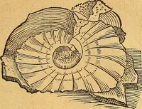 An illustration from Historia novi et admirabilis fontis balneique Bollensis in Ducatu Vvirtembergico ad acidulas Goepingenses ... (1598)