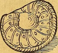 An illustration from Historia novi et admirabilis fontis balneique Bollensis in Ducatu Vvirtembergico ad acidulas Goepingenses ... (1598)