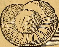 An illustration from Historia novi et admirabilis fontis balneique Bollensis in Ducatu Vvirtembergico ad acidulas Goepingenses ... (1598)