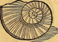 An illustration from Historia novi et admirabilis fontis balneique Bollensis in Ducatu Vvirtembergico ad acidulas Goepingenses ... (1598)