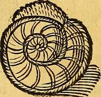 An illustration from Historia novi et admirabilis fontis balneique Bollensis in Ducatu Vvirtembergico ad acidulas Goepingenses ... (1598)