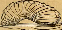 An illustration from Historia novi et admirabilis fontis balneique Bollensis in Ducatu Vvirtembergico ad acidulas Goepingenses ... (1598)