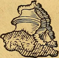 An illustration from Historia novi et admirabilis fontis balneique Bollensis in Ducatu Vvirtembergico ad acidulas Goepingenses ... (1598)