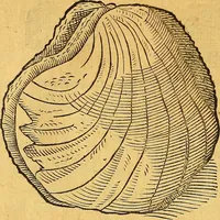 An illustration from Historia novi et admirabilis fontis balneique Bollensis in Ducatu Vvirtembergico ad acidulas Goepingenses ... (1598)