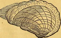 An illustration from Historia novi et admirabilis fontis balneique Bollensis in Ducatu Vvirtembergico ad acidulas Goepingenses ... (1598)