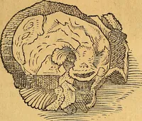 An illustration from Historia novi et admirabilis fontis balneique Bollensis in Ducatu Vvirtembergico ad acidulas Goepingenses ... (1598)