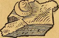 Picture 66 of 256 from Historia novi et admirabilis fontis balneique Bollensis in Ducatu Vvirtembergico ad acidulas Goepingenses ... (1598), leaf 354
