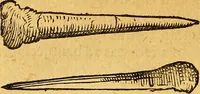 An illustration from Historia novi et admirabilis fontis balneique Bollensis in Ducatu Vvirtembergico ad acidulas Goepingenses ... (1598)
