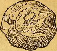 An illustration from Historia novi et admirabilis fontis balneique Bollensis in Ducatu Vvirtembergico ad acidulas Goepingenses ... (1598)