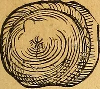 An illustration from Historia novi et admirabilis fontis balneique Bollensis in Ducatu Vvirtembergico ad acidulas Goepingenses ... (1598)