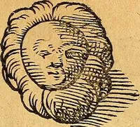 Picture 79 of 256 from Historia novi et admirabilis fontis balneique Bollensis in Ducatu Vvirtembergico ad acidulas Goepingenses ... (1598), leaf 362