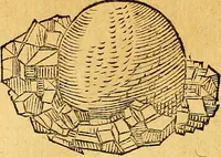 Picture 82 of 256 from Historia novi et admirabilis fontis balneique Bollensis in Ducatu Vvirtembergico ad acidulas Goepingenses ... (1598), leaf 363