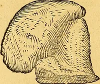 An illustration from Historia novi et admirabilis fontis balneique Bollensis in Ducatu Vvirtembergico ad acidulas Goepingenses ... (1598)