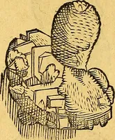 Picture 85 of 256 from Historia novi et admirabilis fontis balneique Bollensis in Ducatu Vvirtembergico ad acidulas Goepingenses ... (1598), leaf 363
