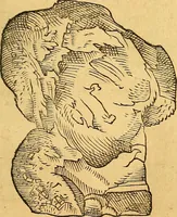 An illustration from Historia novi et admirabilis fontis balneique Bollensis in Ducatu Vvirtembergico ad acidulas Goepingenses ... (1598)