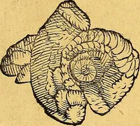 An illustration from Historia novi et admirabilis fontis balneique Bollensis in Ducatu Vvirtembergico ad acidulas Goepingenses ... (1598)