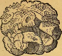 Picture 104 of 256 from Historia novi et admirabilis fontis balneique Bollensis in Ducatu Vvirtembergico ad acidulas Goepingenses ... (1598), leaf 368