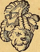 Picture 106 of 256 from Historia novi et admirabilis fontis balneique Bollensis in Ducatu Vvirtembergico ad acidulas Goepingenses ... (1598), leaf 368