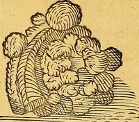 An illustration from Historia novi et admirabilis fontis balneique Bollensis in Ducatu Vvirtembergico ad acidulas Goepingenses ... (1598)