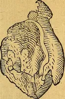An illustration from Historia novi et admirabilis fontis balneique Bollensis in Ducatu Vvirtembergico ad acidulas Goepingenses ... (1598)