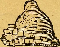 Picture 115 of 256 from Historia novi et admirabilis fontis balneique Bollensis in Ducatu Vvirtembergico ad acidulas Goepingenses ... (1598), leaf 371