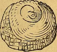 Picture 117 of 256 from Historia novi et admirabilis fontis balneique Bollensis in Ducatu Vvirtembergico ad acidulas Goepingenses ... (1598), leaf 372
