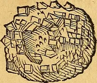 Picture 118 of 256 from Historia novi et admirabilis fontis balneique Bollensis in Ducatu Vvirtembergico ad acidulas Goepingenses ... (1598), leaf 372