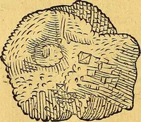 Picture 120 of 256 from Historia novi et admirabilis fontis balneique Bollensis in Ducatu Vvirtembergico ad acidulas Goepingenses ... (1598), leaf 373
