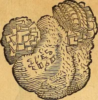 Picture 123 of 256 from Historia novi et admirabilis fontis balneique Bollensis in Ducatu Vvirtembergico ad acidulas Goepingenses ... (1598), leaf 374