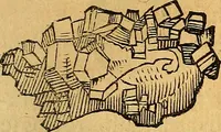 Picture 128 of 256 from Historia novi et admirabilis fontis balneique Bollensis in Ducatu Vvirtembergico ad acidulas Goepingenses ... (1598), leaf 376