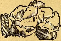 An illustration from Historia novi et admirabilis fontis balneique Bollensis in Ducatu Vvirtembergico ad acidulas Goepingenses ... (1598)