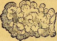 An illustration from Historia novi et admirabilis fontis balneique Bollensis in Ducatu Vvirtembergico ad acidulas Goepingenses ... (1598)