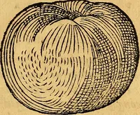 An illustration from Historia novi et admirabilis fontis balneique Bollensis in Ducatu Vvirtembergico ad acidulas Goepingenses ... (1598)