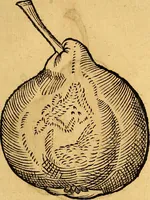 Picture 215 of 256 from Historia novi et admirabilis fontis balneique Bollensis in Ducatu Vvirtembergico ad acidulas Goepingenses ... (1598), leaf 442