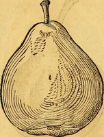 Picture 220 of 256 from Historia novi et admirabilis fontis balneique Bollensis in Ducatu Vvirtembergico ad acidulas Goepingenses ... (1598), leaf 447