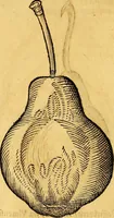 An illustration from Historia novi et admirabilis fontis balneique Bollensis in Ducatu Vvirtembergico ad acidulas Goepingenses ... (1598)