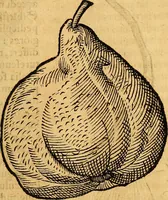 Picture 229 of 256 from Historia novi et admirabilis fontis balneique Bollensis in Ducatu Vvirtembergico ad acidulas Goepingenses ... (1598), leaf 456