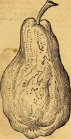 An illustration from Historia novi et admirabilis fontis balneique Bollensis in Ducatu Vvirtembergico ad acidulas Goepingenses ... (1598)