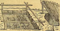 Picture 248 of 256 from Historia novi et admirabilis fontis balneique Bollensis in Ducatu Vvirtembergico ad acidulas Goepingenses ... (1598), leaf 566