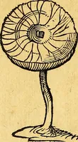 An illustration from Historia novi et admirabilis fontis balneique Bollensis in Ducatu Vvirtembergico ad acidulas Goepingenses ... (1598)
