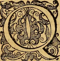 Picture 5 of 257 from Historia novi et admirabilis fontis balneique Bollensis in Ducatu Wirtembergico ad acidulas Goepingenses : mandato illustris. principis ac D.D. Frid. Ducis Vvirtemberg. et Teccensis. Comitis Montisbelig. &c. ac Equ. Ord. Reg. Gall. ad subditorum omniumqu[e] vicinorum & exterorum emolumentum ob vires insignes adornati, (1598), leaf 203
