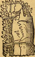 An illustration from Historia novi et admirabilis fontis balneique Bollensis in Ducatu Wirtembergico ad acidulas Goepingenses : mandato illustris. principis ac D.D. Frid. Ducis Vvirtemberg. et Teccensis. Comitis Montisbelig. &c. ac Equ. Ord. Reg. Gall. ad subditorum omniumqu[e] vicinorum & exterorum emolumentum ob vires insignes adornati, (1598)