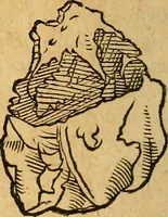 An illustration from Historia novi et admirabilis fontis balneique Bollensis in Ducatu Wirtembergico ad acidulas Goepingenses : mandato illustris. principis ac D.D. Frid. Ducis Vvirtemberg. et Teccensis. Comitis Montisbelig. &c. ac Equ. Ord. Reg. Gall. ad subditorum omniumqu[e] vicinorum & exterorum emolumentum ob vires insignes adornati, (1598)